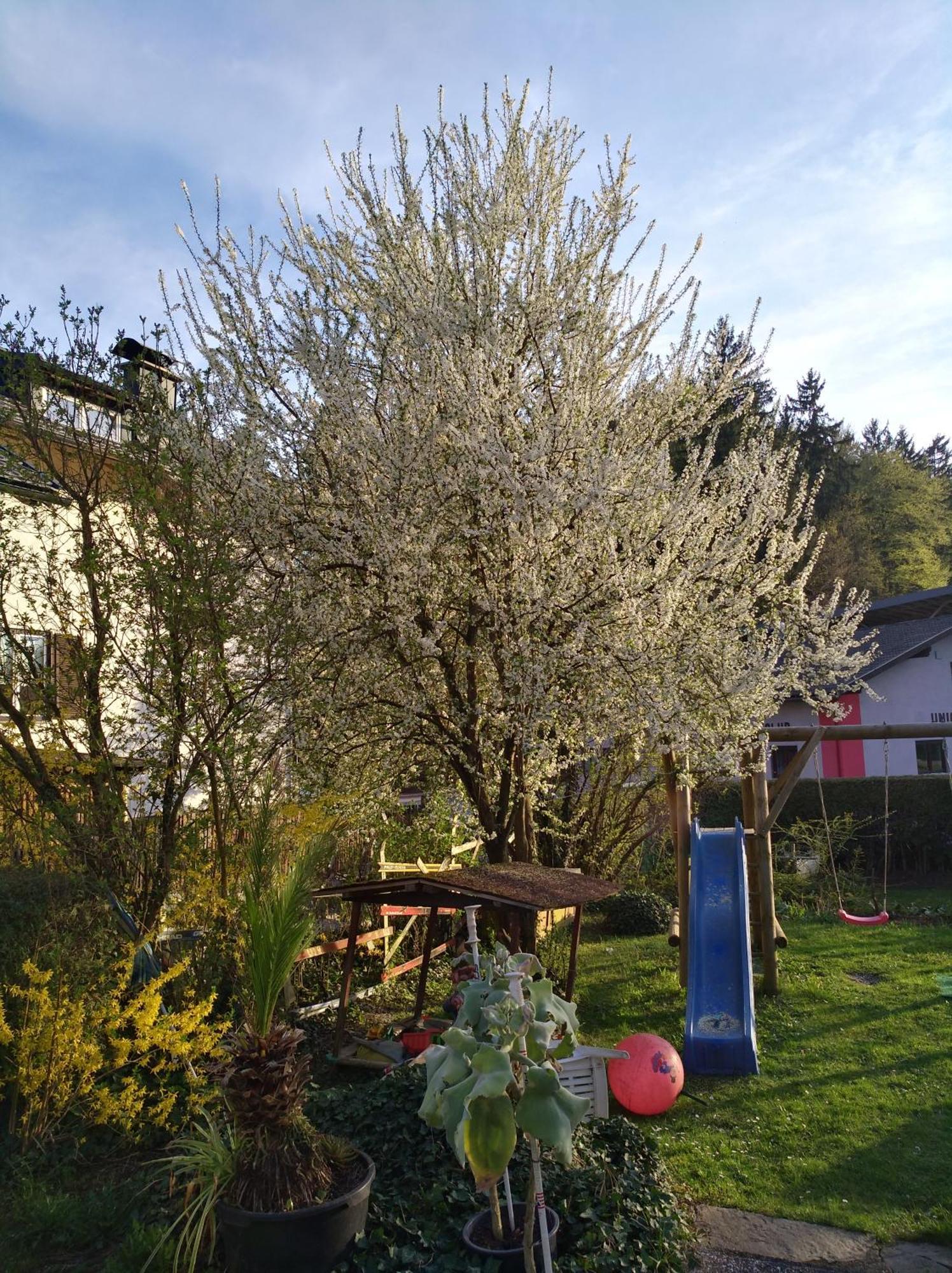 Appartamento Haus Friedburg Velden am Wörthersee Esterno foto
